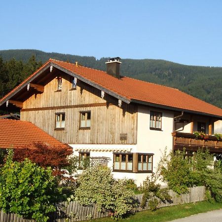 Apartment Andrea - Chiemgau Karte Inzell Exteriör bild