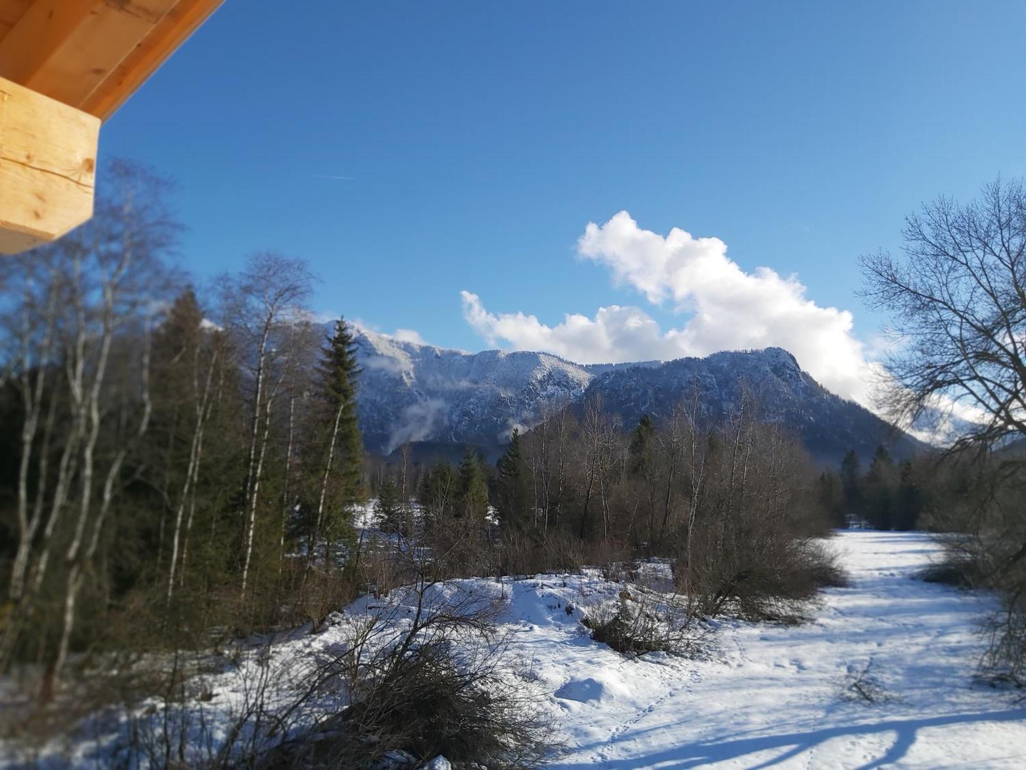 Apartment Andrea - Chiemgau Karte Inzell Exteriör bild