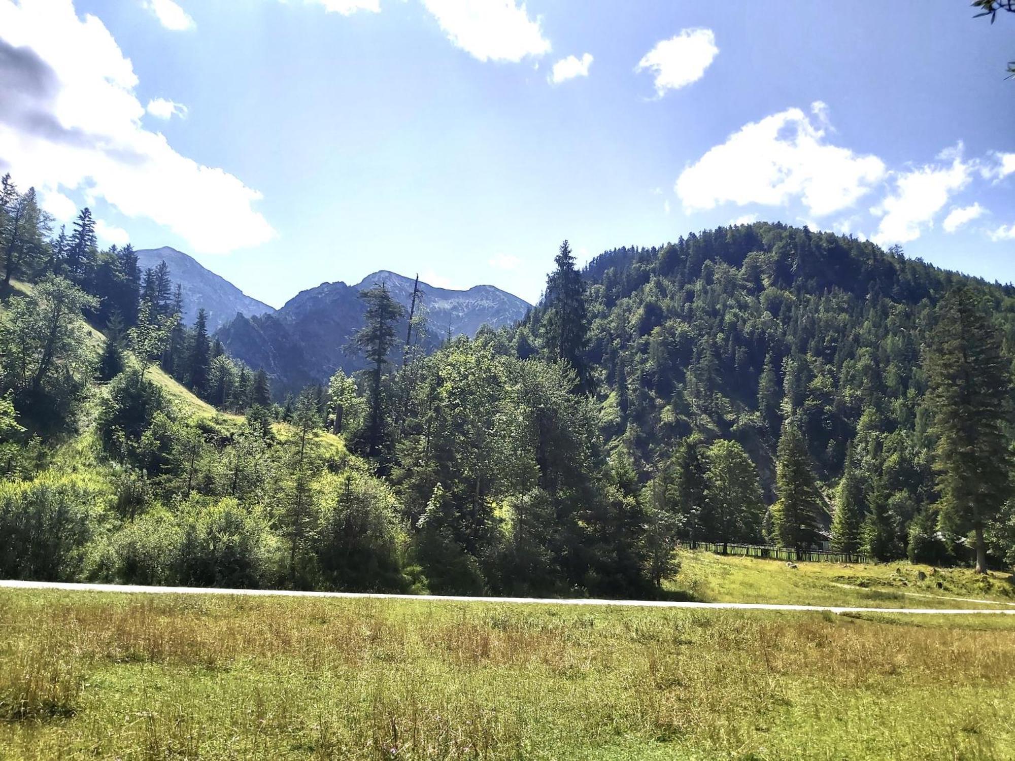 Apartment Andrea - Chiemgau Karte Inzell Exteriör bild