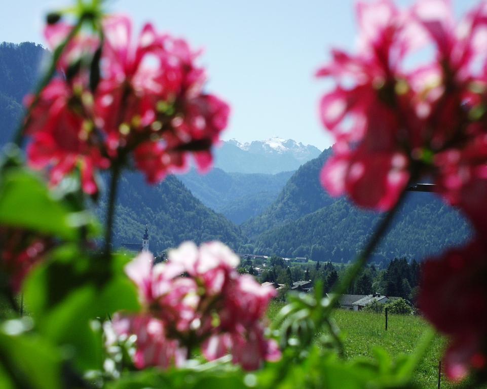 Apartment Andrea - Chiemgau Karte Inzell Exteriör bild
