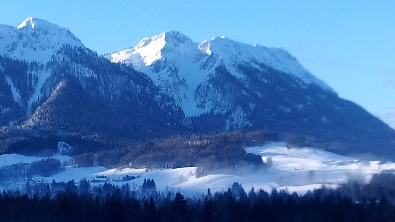 Apartment Andrea - Chiemgau Karte Inzell Exteriör bild