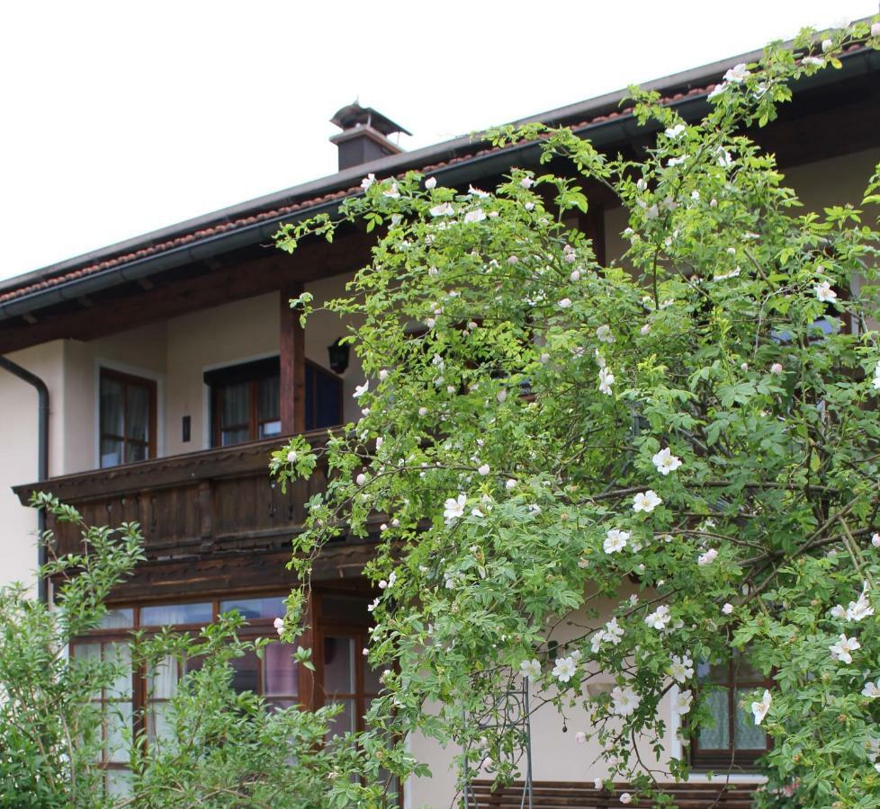 Apartment Andrea - Chiemgau Karte Inzell Exteriör bild